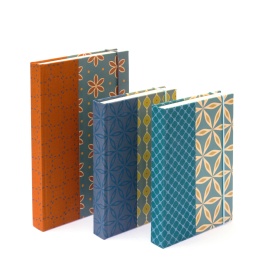 Notebook ALMA 