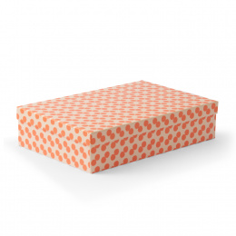 Box Rimini 34 x 22 x 8 cm