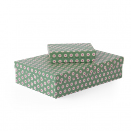 Box Salamanca 